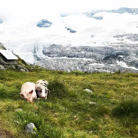 펜션 Gschloessl, 라우리스