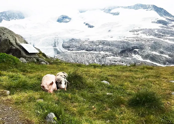 度假居 Gschloessl, 劳里斯